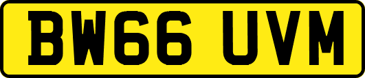 BW66UVM