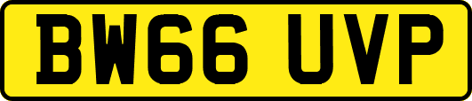 BW66UVP