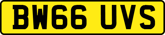 BW66UVS
