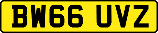 BW66UVZ