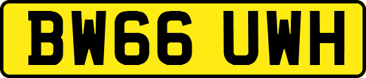 BW66UWH