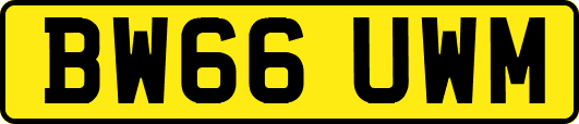 BW66UWM