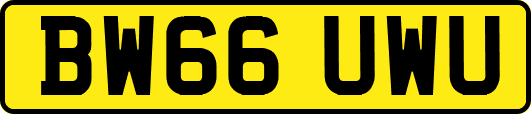 BW66UWU