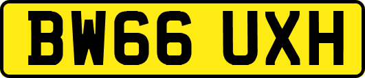 BW66UXH