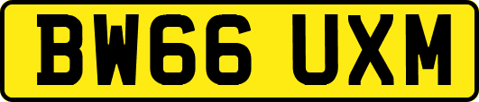 BW66UXM
