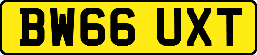 BW66UXT