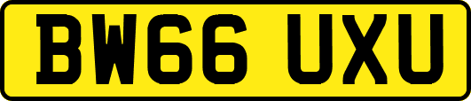 BW66UXU