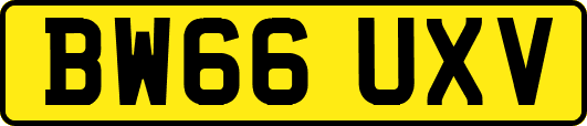 BW66UXV