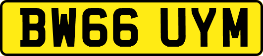 BW66UYM