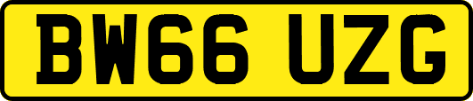 BW66UZG