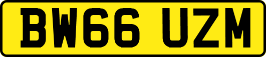 BW66UZM