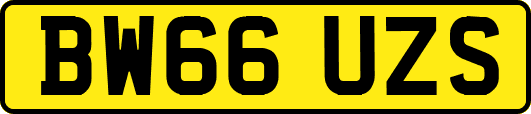 BW66UZS