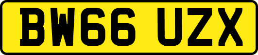 BW66UZX
