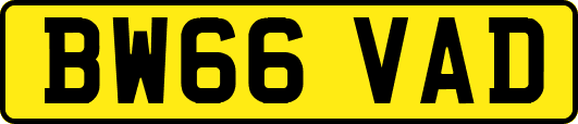 BW66VAD