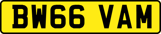 BW66VAM