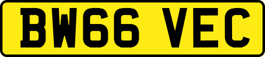 BW66VEC