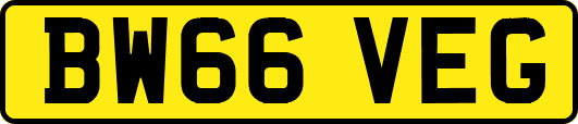 BW66VEG