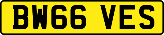 BW66VES