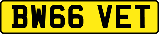 BW66VET