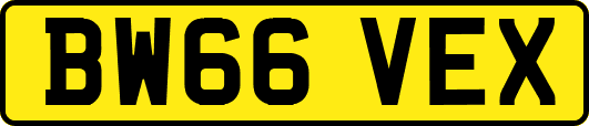 BW66VEX
