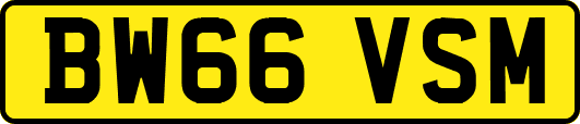 BW66VSM