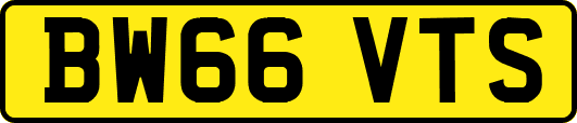 BW66VTS