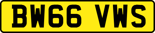 BW66VWS