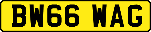 BW66WAG