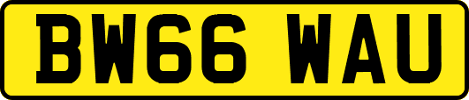 BW66WAU