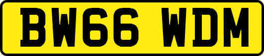 BW66WDM
