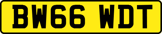 BW66WDT