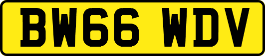 BW66WDV