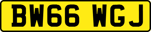 BW66WGJ