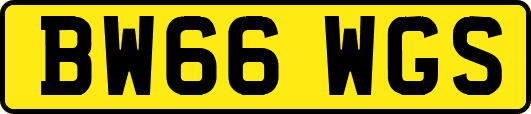 BW66WGS