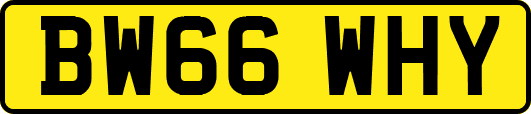 BW66WHY