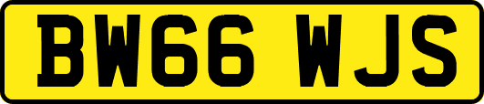 BW66WJS