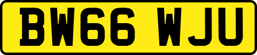 BW66WJU