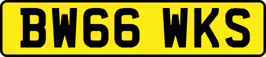 BW66WKS