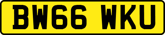 BW66WKU