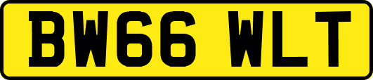 BW66WLT