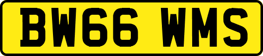 BW66WMS