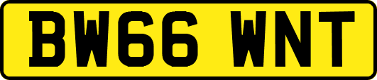 BW66WNT