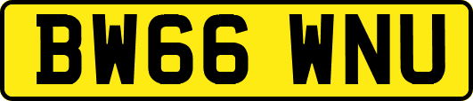 BW66WNU
