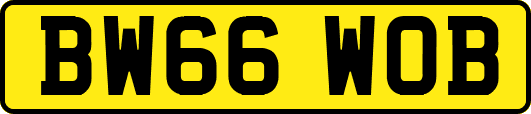 BW66WOB