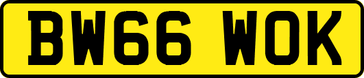 BW66WOK