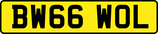 BW66WOL