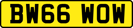 BW66WOW