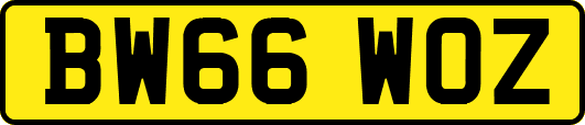 BW66WOZ