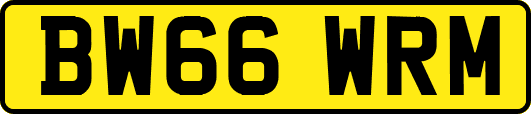 BW66WRM