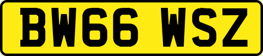 BW66WSZ